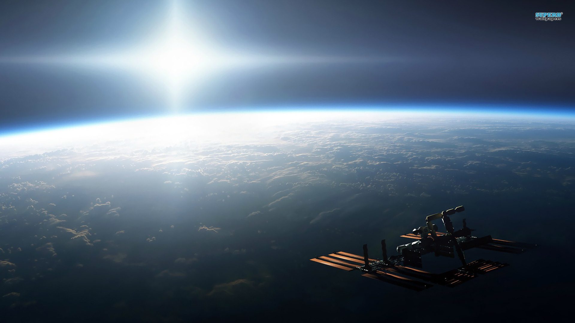 Panduan Lengkap Vaksinasi Ayam Petelur