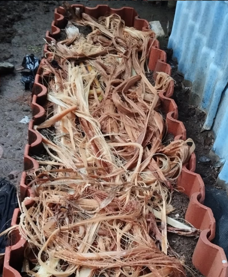 Limbah Pustaka Rintis Laboratorium Alam, Mulai Program Budidaya Cacing Bersama PPK Ormawa UNSOED