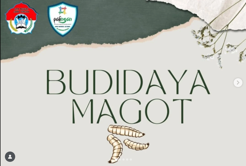 'Study Banding' ke Limbah Pustaka, Ekskul 'Palingan' SMKN Jateng Purbalingga Pelajari Budidaya Magot