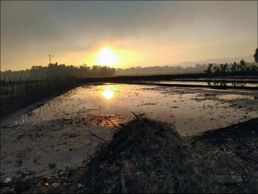 Pesan Inspiratif Limbah Pustaka: Belajar Menjadi Seperti Mentari