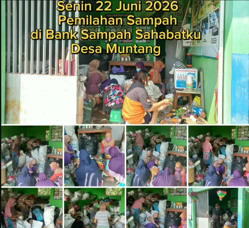 Relawan Bank Sampah Sahabatku Desa Muntang Gelar Pemilahan dan Pengangkutan Sampah, Wujudkan “Sampah Jadi Berkah”