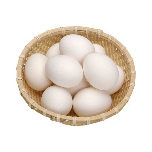 Telur Tetas Ayam Kampung Pilihan Peternak