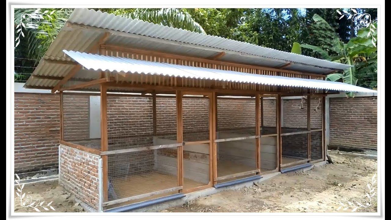  Jasa Pembuatan Kandang Ayam Kampung Sistem Umbaran
